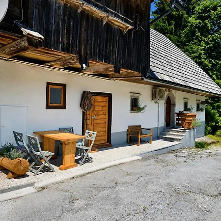 Old House Podgosar 펜션