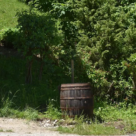 Old House Podgosar 펜션 *