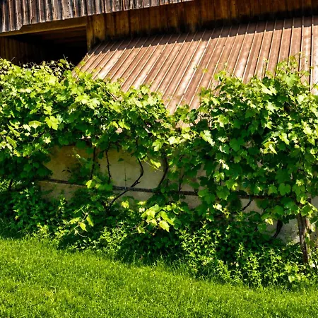 Old House Podgosar